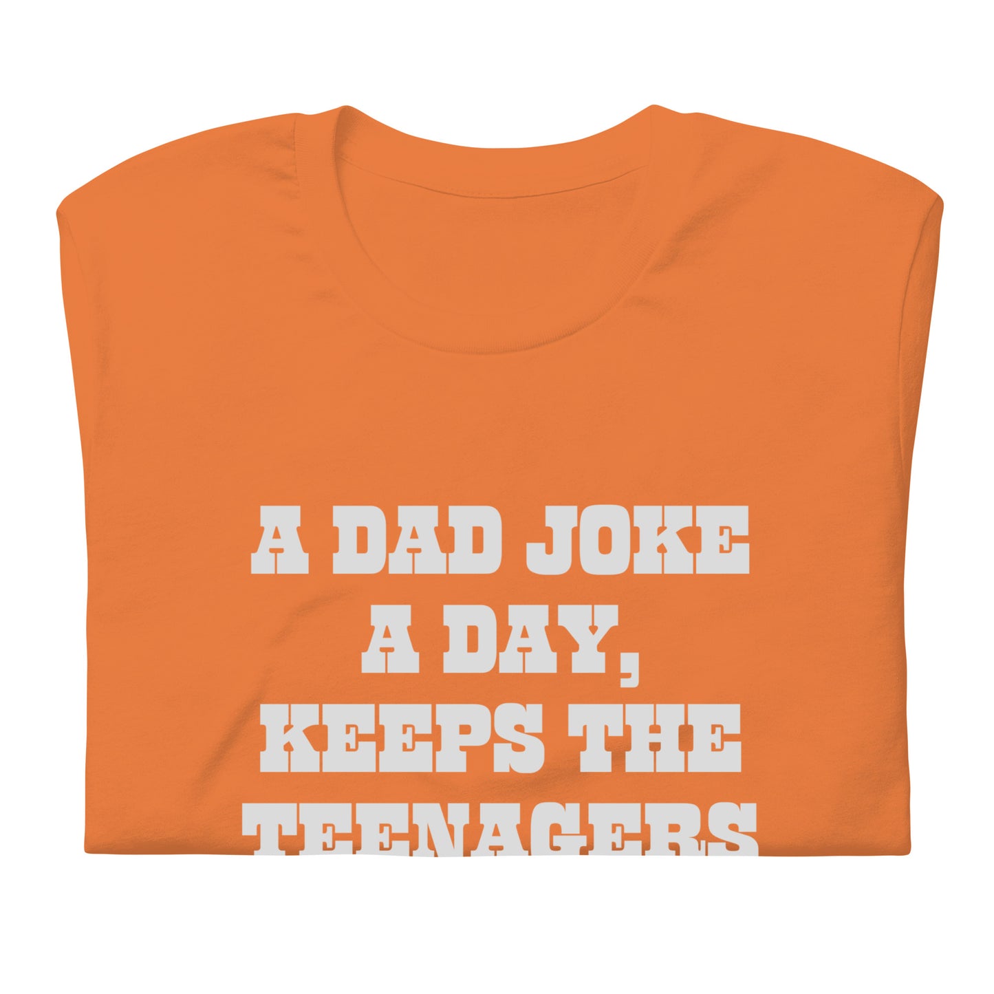 A Dad Joke A Day T-Shirt